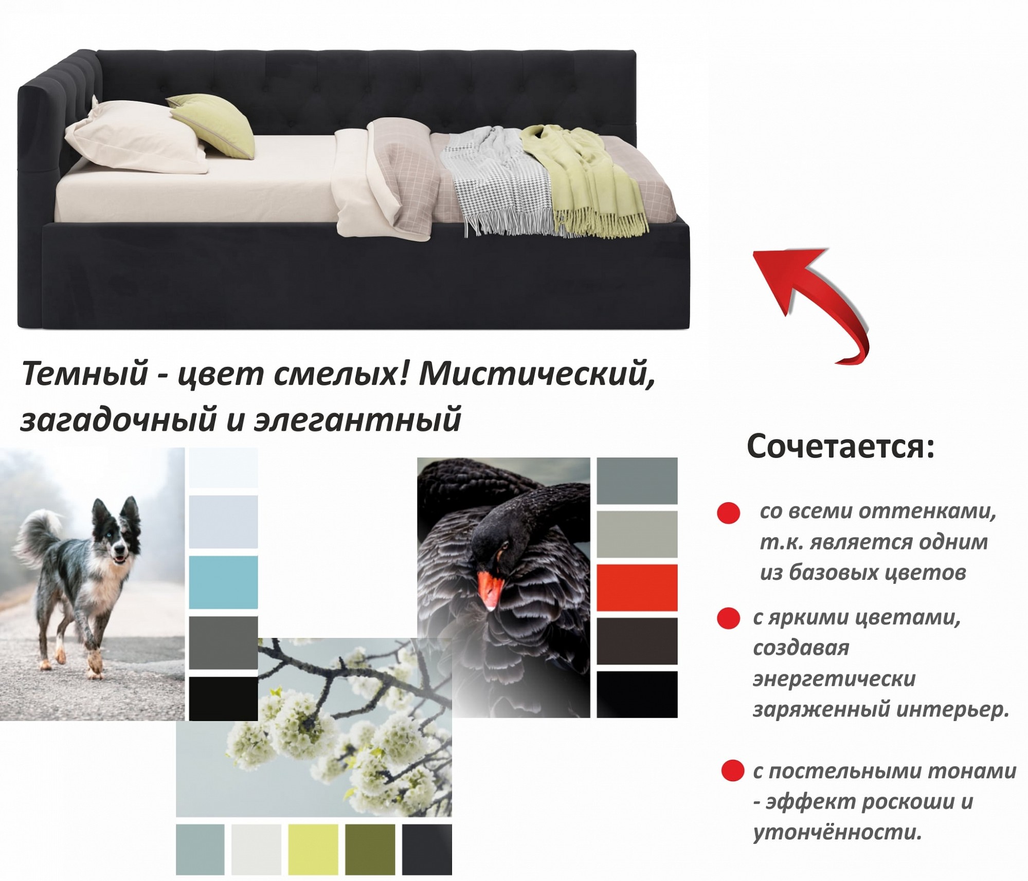 Фото товара
